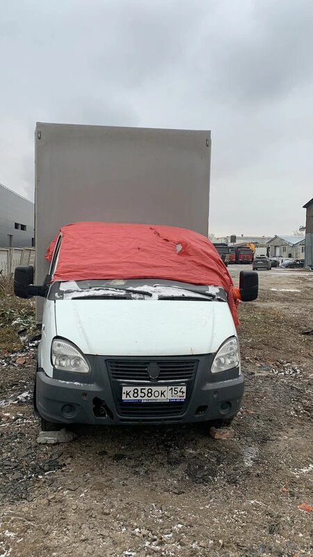 Луидор-Тюнинг 3009 на шасси GAZ GAZELLE BUSINESS Бортовой (Евроборт) — фото 1