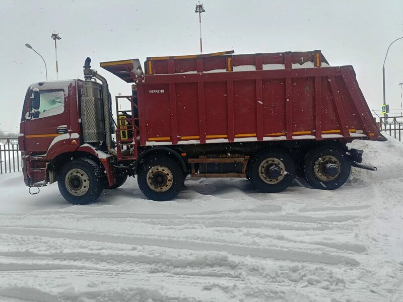 КамАЗ 65801 8x4 Самосвал — фото 2