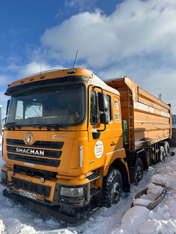 Shacman (Shaanxi) SX 8x4 Самосвал — фото 3