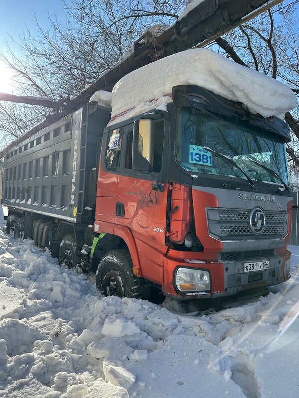 Shacman (Shaanxi) SX 8x4 Самосвал — фото 2