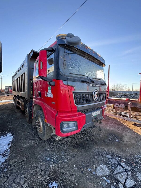 Shacman (Shaanxi) SX 8x4 Самосвал — фото 2