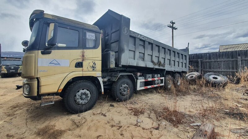 Shacman (Shaanxi) SX 8x4 Самосвал — фото 4