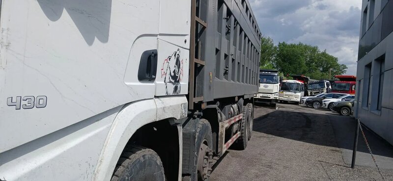 Shacman (Shaanxi) SX 8x4 Самосвал — фото 2