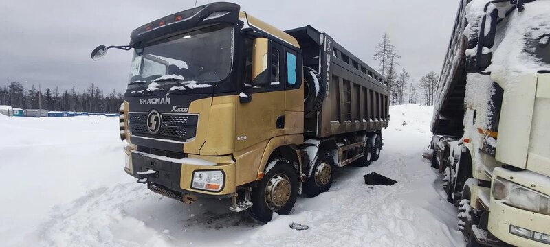 Shacman (Shaanxi) SX 8x4 Самосвал — фото 2