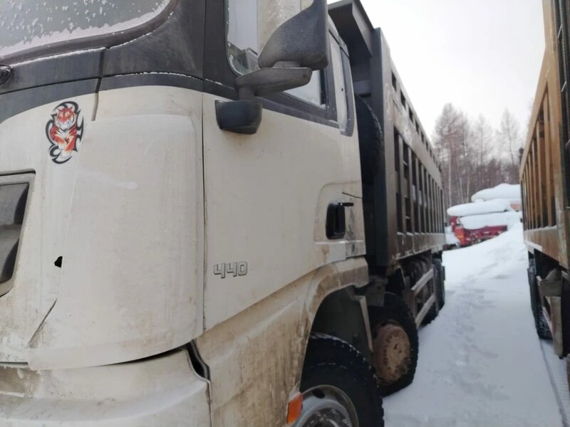 Shacman (Shaanxi) SX 8x4 Самосвал — фото 2
