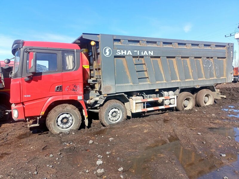 Shacman (Shaanxi) SX 8x4 Самосвал — фото 2