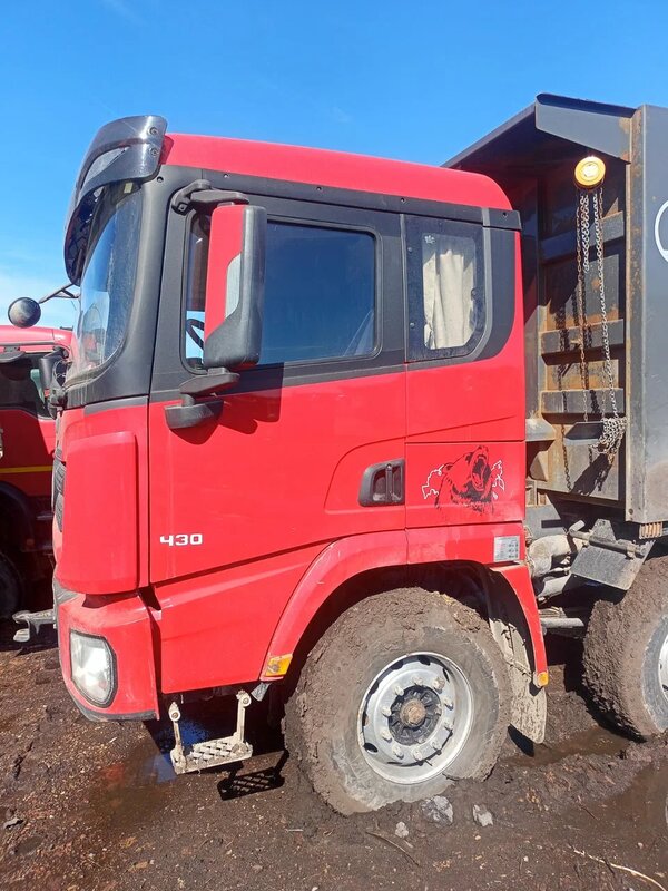 Shacman (Shaanxi) SX 8x4 Самосвал — фото 6