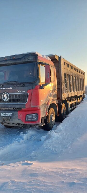 Shacman (Shaanxi) SX 8x4 Самосвал — фото 2