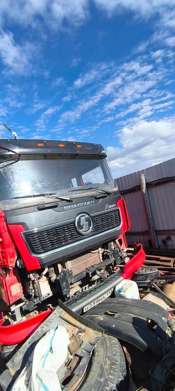 Shacman (Shaanxi) SX 8x4 Самосвал — фото 2