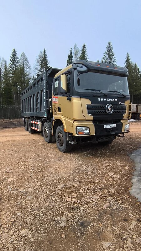 Shacman (Shaanxi) SX 8x4 Самосвал — фото 3