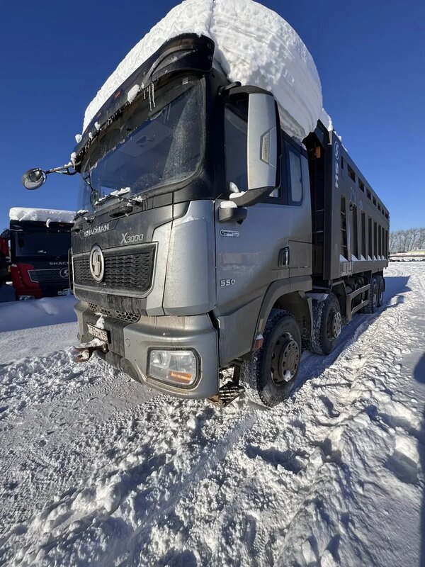 Shacman (Shaanxi) SX 8x4 Самосвал — фото 2