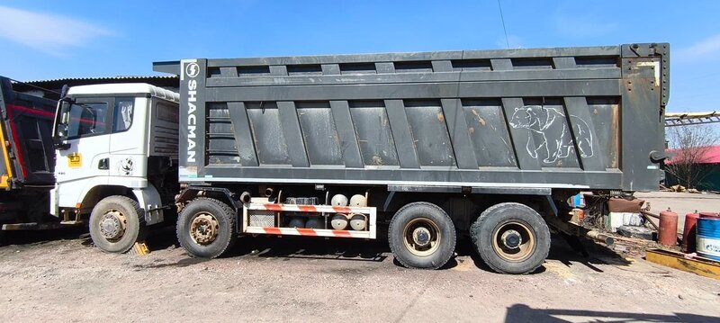 Shacman (Shaanxi) SX 8x4 Самосвал — фото 2