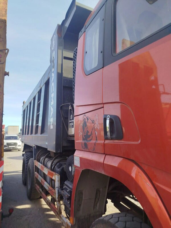 Shacman (Shaanxi) SX 6x6 Самосвал — фото 5