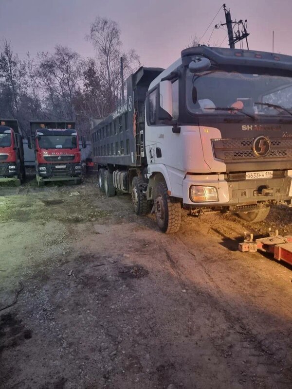 Shacman (Shaanxi) SX 8x4 Самосвал — фото 1
