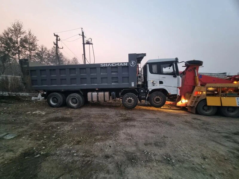 Shacman (Shaanxi) SX 8x4 Самосвал — фото 3