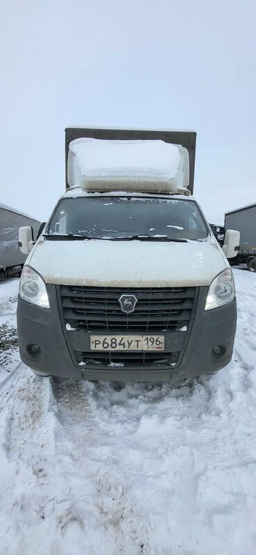 Луидор-Тюнинг 3009 на шасси GAZ GAZELLE NEXT Бортовой (Евроборт) — фото 1