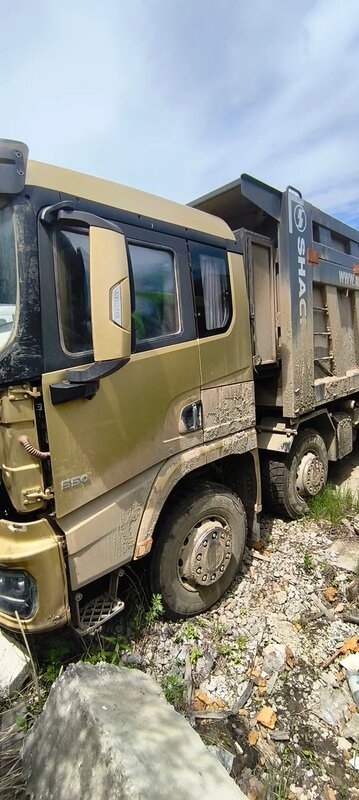 Shacman (Shaanxi) SX 8x4 Самосвал — фото 3