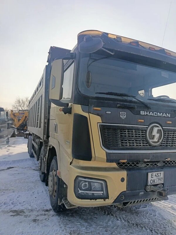 Shacman (Shaanxi) SX 8x4 Самосвал — фото 2