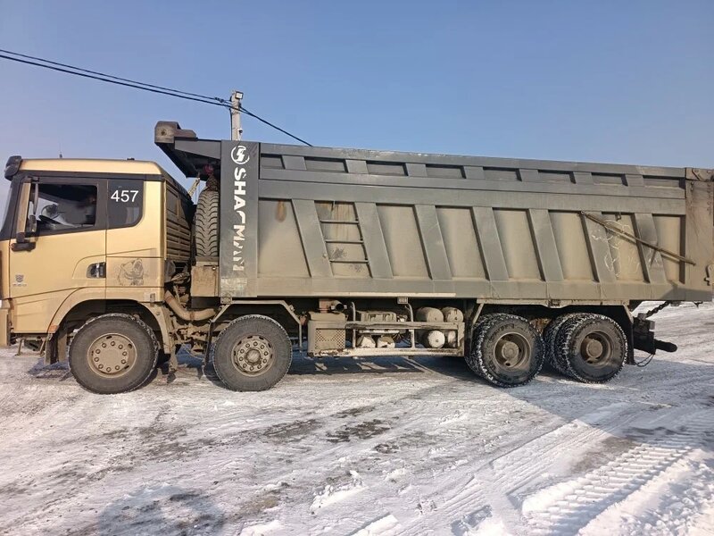 Shacman (Shaanxi) SX 8x4 Самосвал — фото 5
