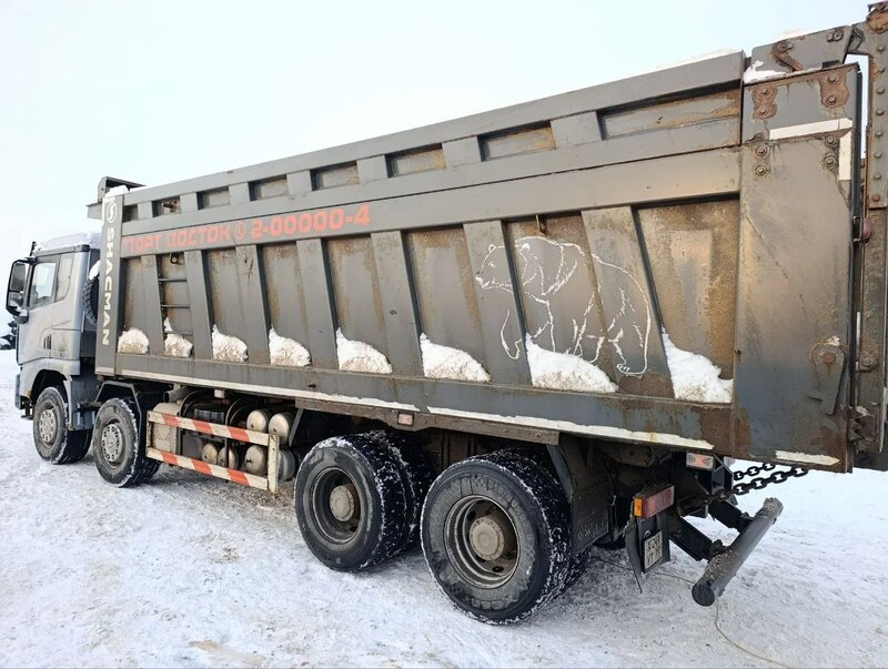 Shacman (Shaanxi) SX 8x4 Самосвал — фото 6