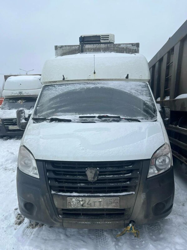 Луидор-Тюнинг 3009 на шасси GAZ GAZELLE NEXT Бортовой (Евроборт) — фото 1