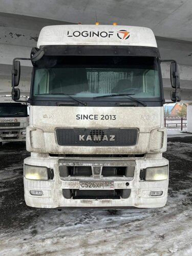 КамАЗ 5490 4x2 Седельный тягач