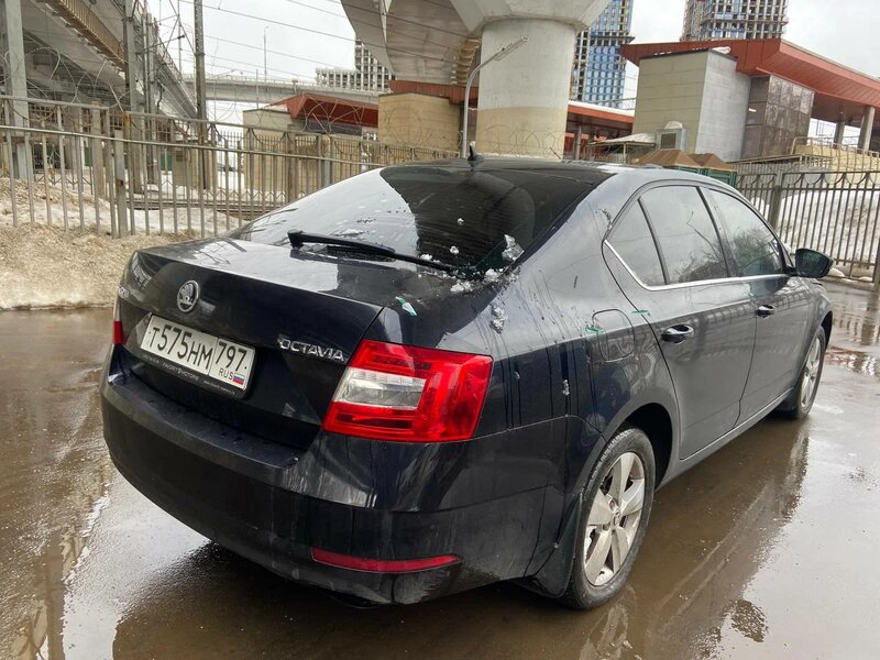 Skoda OCTAVIA — фото 7